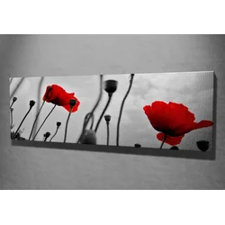WALLXPERT Dekorativna slika PC048
