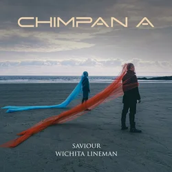 ACHIMMADANG Chimpan A - Saviour / Wichita Lineman (CD EP)