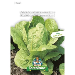 Solata Lentissima a montare - 5g