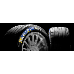 Michelin Pilot Sport EV ( 255/40 R21 102Y XL Acoustic, GOE )