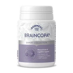 Demenca pri psih ali mačkah? Tukaj je Dorwest Braincopa!