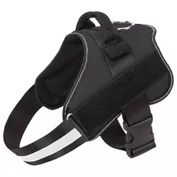 DogVest, pasja oprsnica