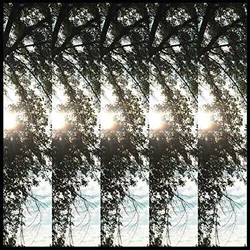 Pontiak - Dialectic Of Ignorance (LP)
