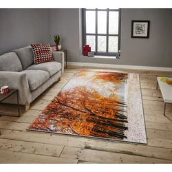 Conceptum Hypnose Tepih Asr Crpt-12, Pravougaoni, 160 x 230 cm, Šareni