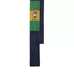 Polo Ralph Lauren Kravata moška svilena