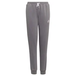 adidas Hlače ENT22 SW PNTY
