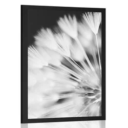 Plakat regrat v črnobeli varianti - 40x60 no frame