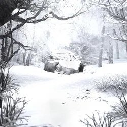 Weezer - Sznz: Winter (Clear Coloured) (LP)