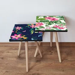 Hanah Home Set klub stočića 2Shp446, 2 komada, Šareni