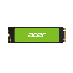 Acer RE100 M.2 256 GB Serijski ATA III