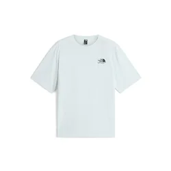 THE NORTH FACE Majica Never Stop Carving siva/črna/bela