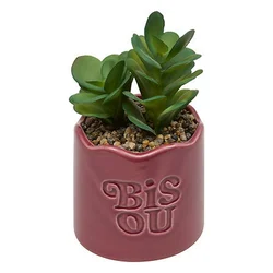 Ukrasna Biljka U Saksiji Cheri, 14,5cm