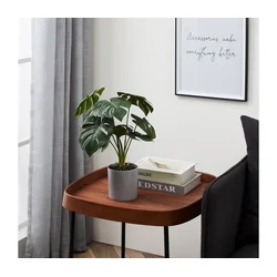 Eglo 428017 - Veštačka biljka u saksiji TOBETSU 42x30 cm monstera