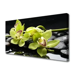tulup.si Slika na platnu Cvet orhideje rastlin 125x50 cm