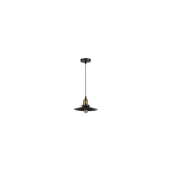 Luster LOFT na sajli, 1xE27/60W/230V, prečnik 22 cm, crna