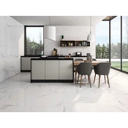MARMA WHITE MT 60x120