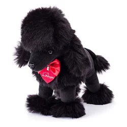 Črni Charliejev pudelj, 25cm