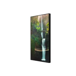 HISENSE 55WH80F 4K UHD 4000 nita Window Facing - High Brightness Display