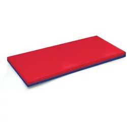 Iron Sport Strunjača 100x50x4cm