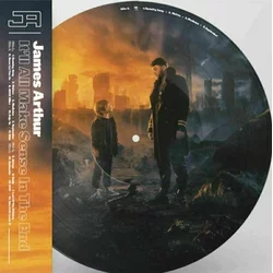 James Arthur Itll All Make Sense In The End (Picture Disc) (2 LP)