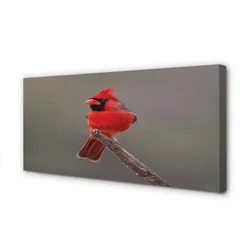 tulup.si Slika na platnu Rdeča papiga na veji 125x50 cm