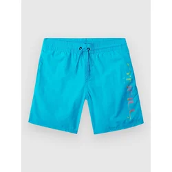 ONeill Cali Melting 14 Kids kopalne hlače bachelor button