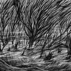 Bismuth - The Eternal Marshes (LP)