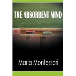 Absorbent Mind