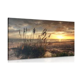 Slika sončni zahod na plaži - 150x100