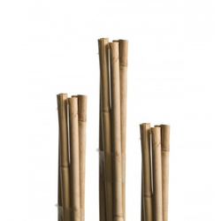 Windhager bambus A!tap 150cm ( WH 05609 )