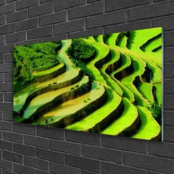 tulup.si Slika na steklu Rice field forest narava 120x60 cm 2 obešalnika