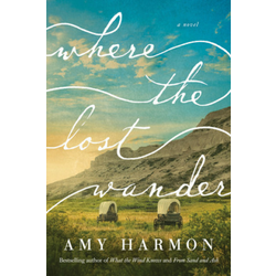 Where the Lost Wander