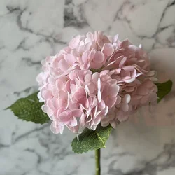 Hortenzija veja RT roza 50cm (real touch)