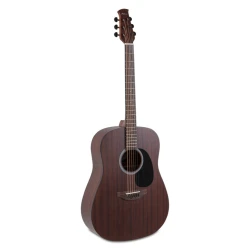 Akustična kitara Wood Classics AAD96-M Mahogany Natural Matte Applause