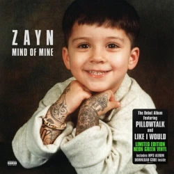 Zayn Mind Of Mine (Deluxe Edition) (2 LP)