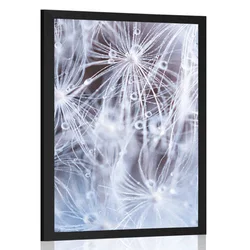 Plakat makro regrat - 40x60 white