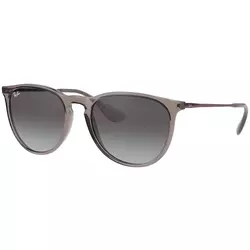 Ray-Ban Erika Naočare za sunce RB 4171 6513/8G