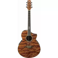 IBANEZ EW20BGE-NT elektro-akustična kitara