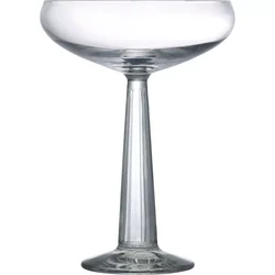 Gastro kozarec za šampanjec Big Top 260 ml (6 kos)