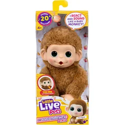 Little Live Pets Mini Monkey