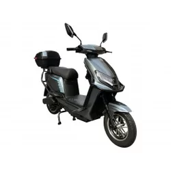 Električni bicikl 10 STORM sivi