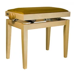 Bespeco SG101-NBS