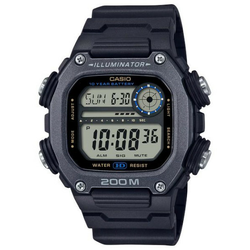 Casio Classic DW-291HX-1AVDF
