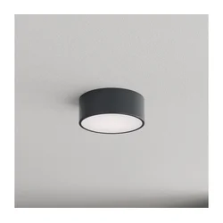 Brilagi - Plafonsko svetlo za kupatilo sa senzorom CLARE 1xE27/24W/230V, prečnik 20 cm, antracit IP54