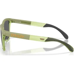 Oakley Frogskins OO9503 950307 58