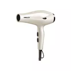 HALEY HY4023 Fen 2200W