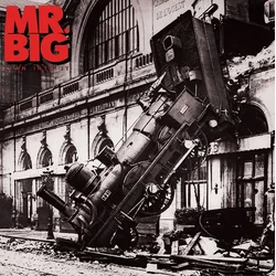 Mr Big - Lean Into It (30th Anniversary Edition) (180g) (LP)