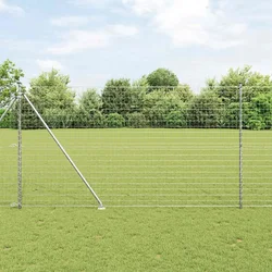 Zavareno žičano ograđivanje s bodljama 10 x 1,6 m (Š x V)