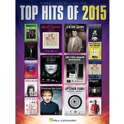 TOP HITS OF 2015 PVG