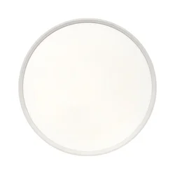 LED stropno svetlo LED/40W/230V 3000/4000/6500K prečnik 50 cm belo